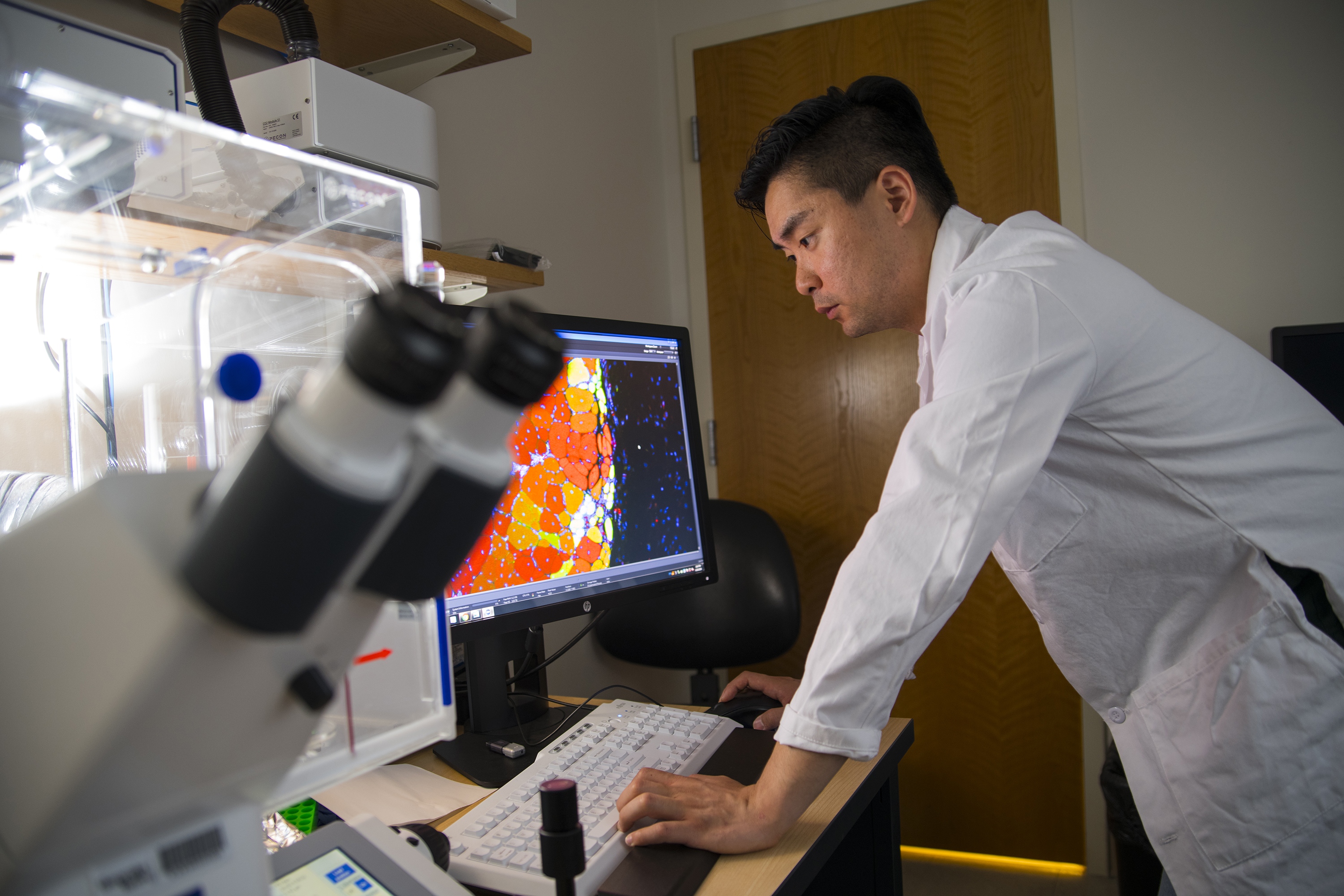 First author Woojin Han observes muscle tissue samples treated with the new MuSC nanohydrogel. Credit: Georgia Tech / Christopher Moore First author Woojin Han observes muscle tissue samples treated with the new MuSC nanohydrogel. Credit: Georgia Tech / Christopher Moore
