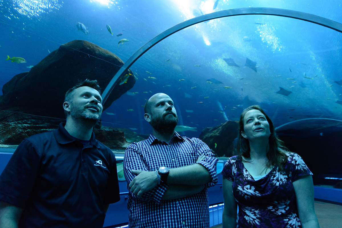 Georgia Aquarium life support experts (like Matthew Regensburger, left) wanted to know which bacteria were removing nitrates from the water of Ocean Voyager, the largest indoor oceanic aquarium in the US. Georgia Tech marine biochemists (Andrew Burns, center, and Zoe Pratte, right) discovered very natural bacterial colonies at work.