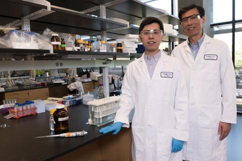 Graduate research assistant Haopeng Xiao (l.) and Professor Ronghu Wu (r.) in Wu's lab at Georgia Tech. Credit: Georgia Tech / Allison Carter