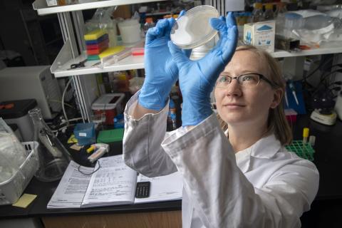 Graduate research assistant Kelly Michie coauthored the study. Here, she holds up a dish with a bacteria culture. Credit: Georgia Tech / Christopher Moore