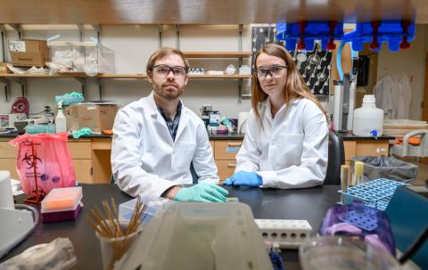 Research Scientist Dan Cornforth and Postdoctoral Fellow Carolyn Ibberson are shown in the laboratory of Professor Marvin Whiteley at Georgia Tech. They are part of a research team studying differences in how bacteria behave in laboratory conditions compared to in human infections. (Credit: Rob Felt, Georgia Tech)