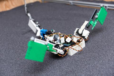Image shows the “MuddyBot” robot that used the locomotion principles of the mudskipper to move through a trackway filled with granular materials. The robot has two limbs and a powerful tail, with motion provided by electric motors. (Credit: Rob Felt, Georgia Tech)