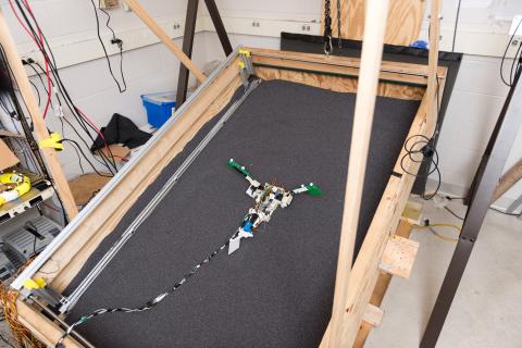 Image shows a robot – dubbed “MuddyBot” – that used the locomotion principles of the mudskipper to move through a trackway filled with granular materials. The robot used two limbs and a powerful tail to move through the trackway, which could be raised to provide a sloping surface. (Credit: Rob Felt, Georgia Tech)